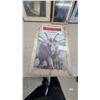 Image 7 : Framed Prints Including Wayne Gretzky Hockey, Disney Aladdin, Dinosaur Book, and More
