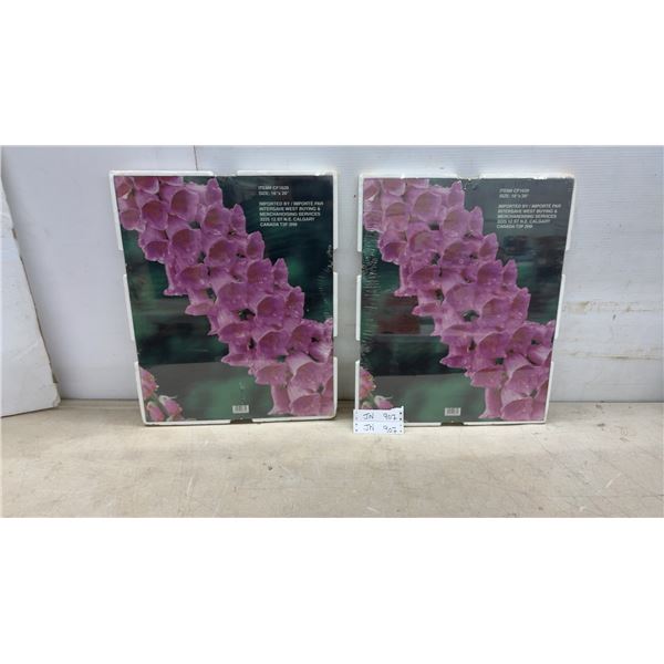 New Two 16 x 20" Mounting Frames