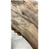 Image 5 : Seagull by Anne Hand-Painted Seagull Figurines on British Columbia Driftwood