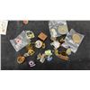 Image 4 : Collection of Canadian National Railways and Assorted Souvenir Lapel Pins and More