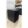 Image 10 : PSB Alpha SubSonic 5 Powered Subwoofer
