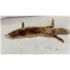 Image 2 : Holt Renfrew Vintage Red Fox Fur Stole with Full Body and Tail