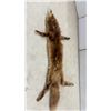 Image 3 : Holt Renfrew Vintage Red Fox Fur Stole with Full Body and Tail