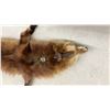 Image 5 : Holt Renfrew Vintage Red Fox Fur Stole with Full Body and Tail