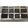 Image 4 : DeWalt Corded Drill and Custom Aluminum Diamond Plate Hardware Organizer with Fasteners