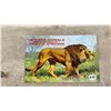 Image 4 : Vintage Red Rose/Blue Ribbon Tea Trading Cards in Albums and if Walls Could Talk Manitoba Book