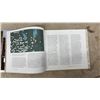 Image 3 : Abandoned Manitoba History Book, Grain Elevators, Bank Vault to Grain Elevators and if Walls Could