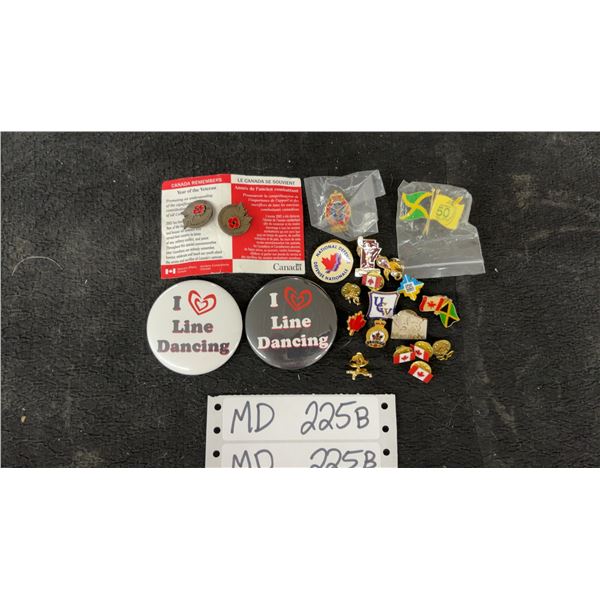 Collection of Pins and Buttons