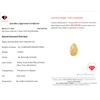 Image 3 : 4.28 ct Certified Flash Opal gemstone ($8,560 Appraisal)