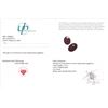 Image 3 : 4.73 ct Certified Untreated Pink Sapphire gemstone Pair ($6,600 Appraisal)