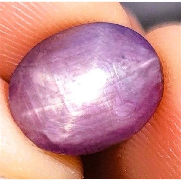 18.02 ct Certified Star Ruby gemstone Untreated ($25,500 Appraisal)