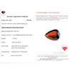 Image 3 : 17.94 ct Certified Hessonite Garnet gemstone ($4,485 Appraisal)