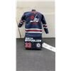 Image 1 : Dustin Byfuglien #33 Winnipeg Jets Mini Jersey on Display Stand