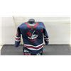 Image 4 : Dustin Byfuglien #33 Winnipeg Jets Mini Jersey on Display Stand