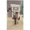 Image 9 : Hallmark Kiddie Car Classics Sidewalk Cruisers Collection Diecast Pedal Cars and More