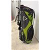 Image 7 : Callaway Golf Stand Bag with Wilson Fluid Feel 2 Putter and More