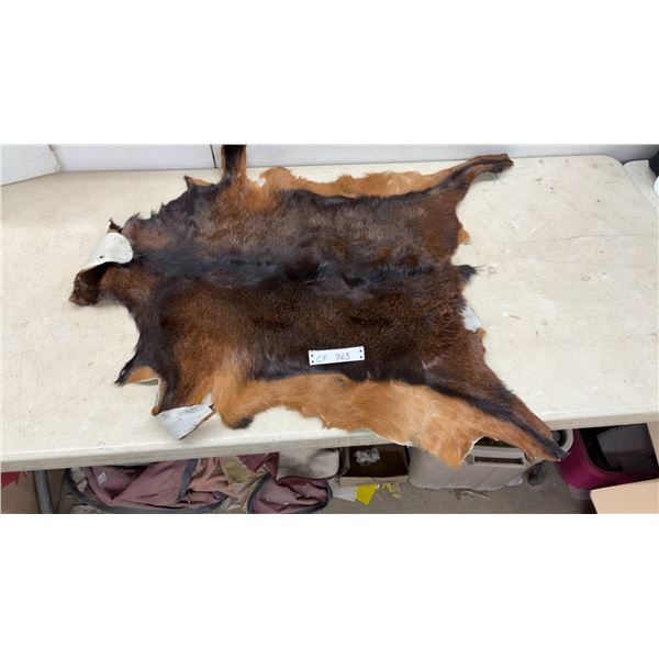 Brown and Black Hide, Approx 47 x 33"