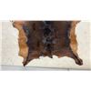 Image 3 : Brown and Black Hide, Approx 47 x 33"