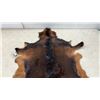 Image 4 : Brown and Black Hide, Approx 47 x 33"