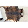 Image 5 : Brown and Black Hide, Approx 47 x 33"