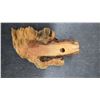 Image 7 : Set of Three Carved Wooden Face Sculptures on Natural Driftwood, Largest 12"