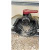 Image 3 : 275-Gallon IBC Tote with Metal Cage Frame and Pallet Base