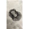 Image 3 : Box of New Hair Nets