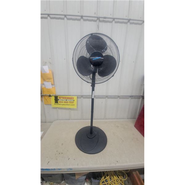 Windmere Black Pedestal Fan with Three Blades
