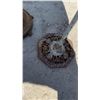 Image 7 : Vintage Cast Iron Bird Bath with Ornate Scrolled Base, Bird Cage Stand, and More