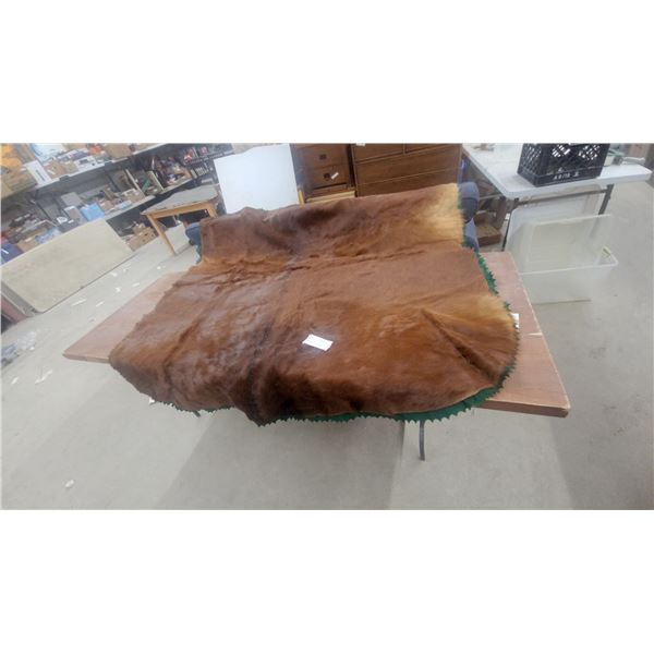 Horse Cutter Sleigh Blanket 64 x 68" with Green Felt Scalloped Edge Backing Excellent Condition ??