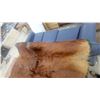Image 4 : Horse Cutter Sleigh Blanket 64 x 68" with Green Felt Scalloped Edge Backing Excellent Condition ??