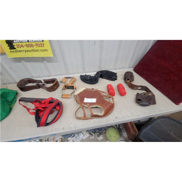 Leather Equestrian Breastcollar with Fleece Lining, Stirrups, Leg Wraps, and More