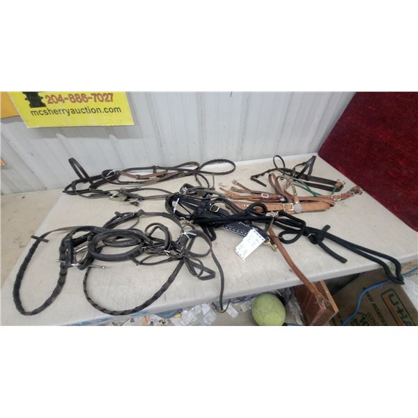 Assorted Leather and Nylon Horse Bridles, Halters, Reins, Headstalls, and More