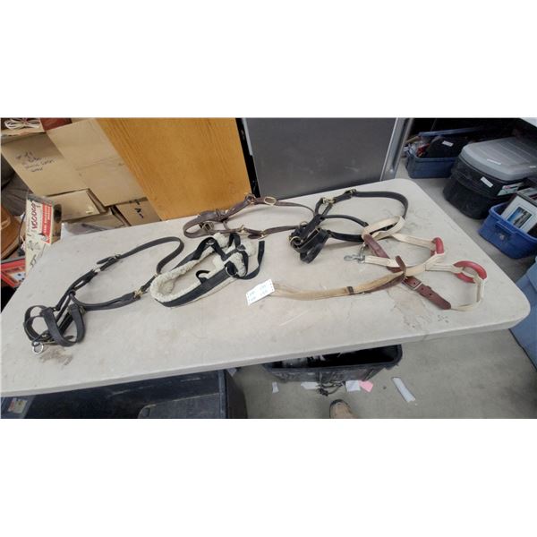Passier Lunging Aid with Leather Horse Halters and Sheepskin-Lined Tack and More