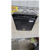 Image 1 : Washburn WA30 Acoustic Amplifier with Microphone and Guitar Inputs, Chorus, and Reverb