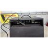 Image 6 : Washburn WA30 Acoustic Amplifier with Microphone and Guitar Inputs, Chorus, and Reverb