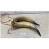Image 1 : Pair of Cattle Horns, Approximately 19"