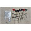 Image 1 : 24 New Equipment Ignition Keys