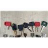 Image 3 : 24 New Equipment Ignition Keys