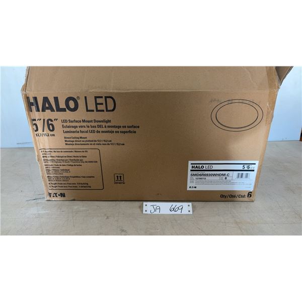 Box of 6 -6" Halo LED Lights