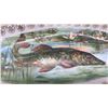 Image 4 : Crown Sterling China Fish Platter, 22 x 8 1/2" with Six Bone China Side Crescent Plates, Gold Trim