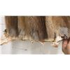 Image 4 : Hudson's Bay Company Brown Fur Coat