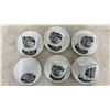 Image 3 : Royal Grafton Fine Bone China Petawawa Ontario Canada Souvenir Tea Set