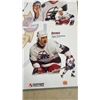 Image 8 : Winnipeg Jets All Time All Star Team Poster