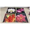 Image 5 : Hummingbirds and Orchids Calendars 2006-2018 with Reference Books and More