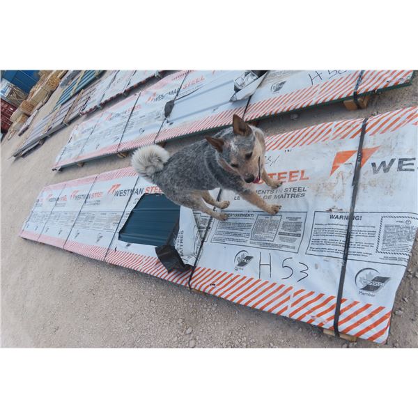 31 Steel Siding/Cladding Panels – 230" Wide, 36" Tall (approx 1,822 sq ft)
