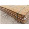 Image 5 : Mixed-Size Plywood Sheets – 14-Layer, Some Full Sheets and Some Partial