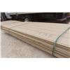 Image 3 : 22 3/8" SmartBoard Panels – 4'x8'