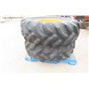 Image 2 : 2 Tractor Tires w/ Rims – 16.9x24