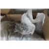 Image 4 : Sheet Metal Screws – Mixed Greys and Off-White, mostly 1½" – Quantity Unknown